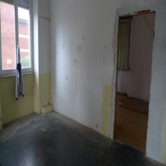 S303/p1060452