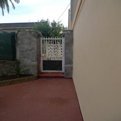 S333/p1050041